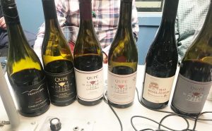 cool climate wines