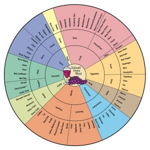 zinfandel aroma wheel