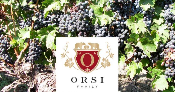 orsi family vineyards