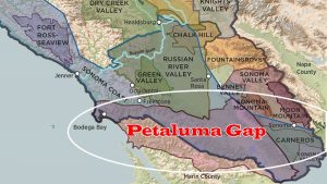 petaluma gap