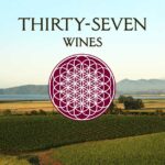 thirty-seven wines