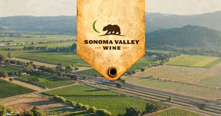 sonoma valley wine