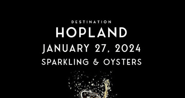 sparkling and oysters