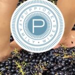 puppione family wines