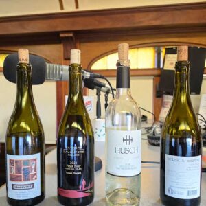 winesong 2026